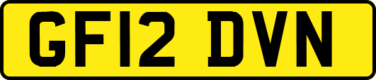 GF12DVN