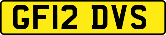 GF12DVS