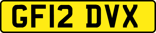 GF12DVX