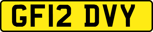 GF12DVY
