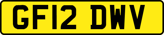 GF12DWV