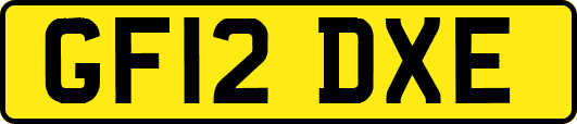 GF12DXE