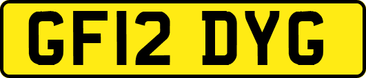 GF12DYG