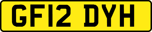 GF12DYH