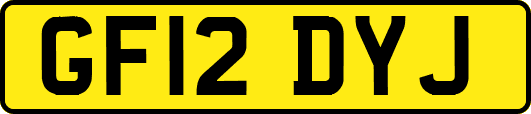 GF12DYJ