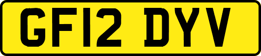 GF12DYV