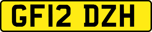 GF12DZH