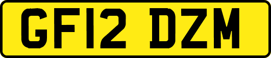 GF12DZM