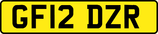 GF12DZR