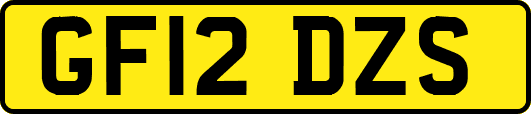 GF12DZS