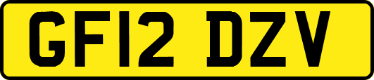 GF12DZV