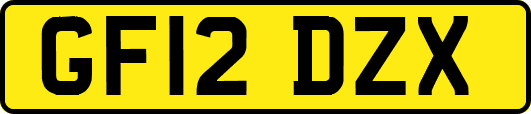 GF12DZX