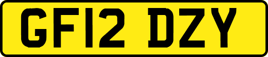GF12DZY