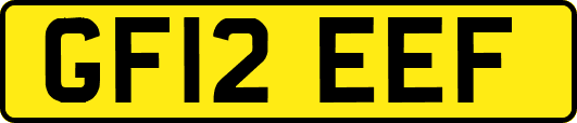 GF12EEF