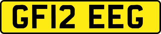 GF12EEG