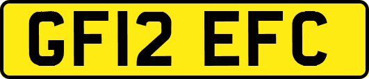 GF12EFC