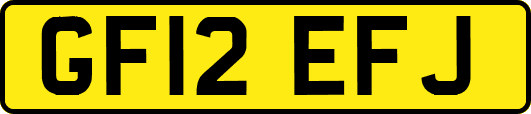 GF12EFJ
