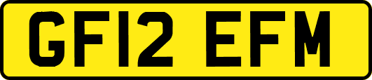 GF12EFM