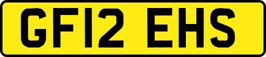 GF12EHS