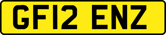 GF12ENZ