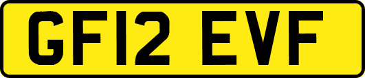 GF12EVF