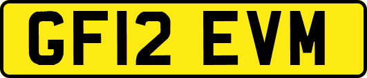 GF12EVM