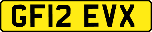 GF12EVX