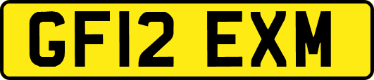 GF12EXM