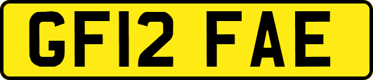 GF12FAE