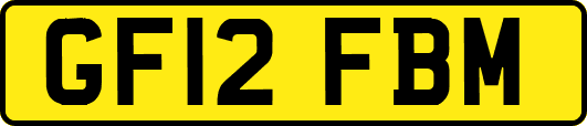 GF12FBM