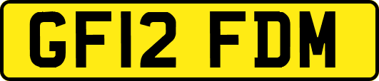 GF12FDM