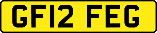GF12FEG