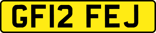 GF12FEJ