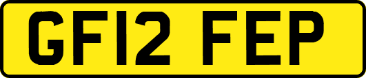 GF12FEP
