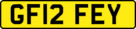 GF12FEY