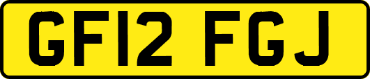 GF12FGJ
