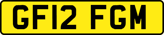 GF12FGM