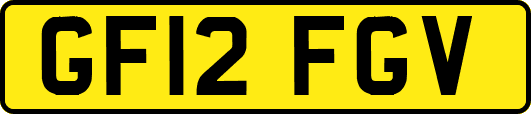 GF12FGV