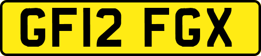 GF12FGX