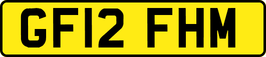 GF12FHM