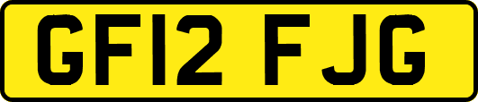 GF12FJG