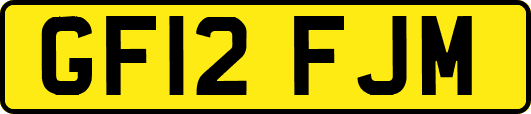 GF12FJM