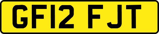 GF12FJT