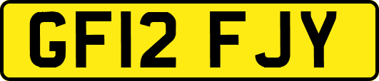 GF12FJY