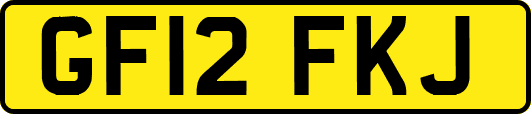 GF12FKJ