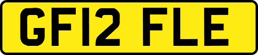 GF12FLE
