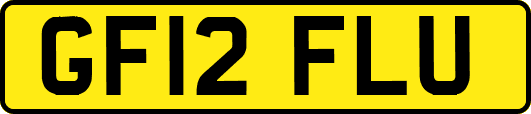 GF12FLU