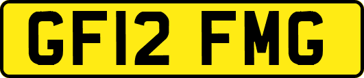 GF12FMG