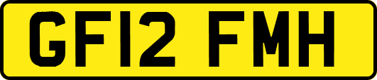 GF12FMH