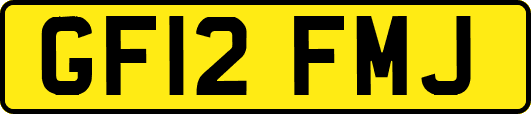 GF12FMJ